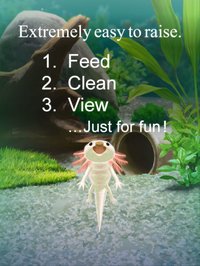 Virtual Therapeutic Axolotl Pet screenshot, image №1662188 - RAWG