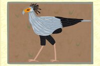 Birder screenshot, image №3215437 - RAWG