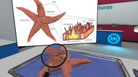 VR Squid and Seastar Dissection: Invertebrate Investigations screenshot, image №2383785 - RAWG