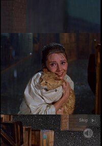Where_is_a_cat screenshot, image №3237641 - RAWG