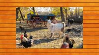 Farmyard Pals Jigsaw Puzzles screenshot, image №4152679 - RAWG