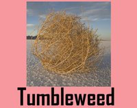 Tumbleweed (itch) screenshot, image №1312407 - RAWG