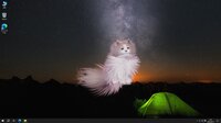 Get a cat screenshot, image №4235333 - RAWG