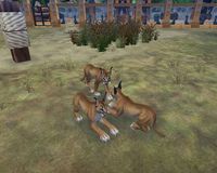 Zoo Tycoon 2: African Adventure screenshot, image №449152 - RAWG