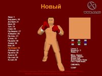 Boxer's Story screenshot, image №417377 - RAWG