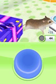 Petz Hamsterz Superstarz screenshot, image №789903 - RAWG