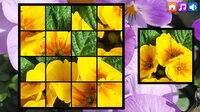 OG Puzzlers: Spring 2K24 screenshot, image №4040248 - RAWG