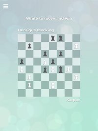 Zen Chess Collection screenshot, image №2233947 - RAWG