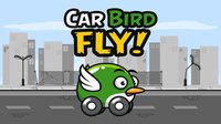 Car Bird FLY! screenshot, image №1684382 - RAWG