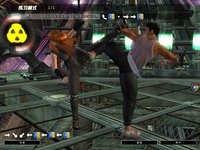 Dead or Alive Online screenshot, image №480154 - RAWG