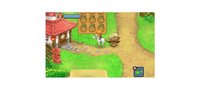 Harvest Moon 3D: The Tale of Two Towns screenshot, image №794430 - RAWG