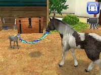 Petz Horseshoe Ranch screenshot, image №247659 - RAWG