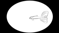 Fish Training Camp screenshot, image №1701810 - RAWG