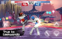 Taekwondo Game screenshot, image №676065 - RAWG