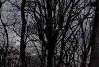 winter's delight screenshot, image №3283152 - RAWG