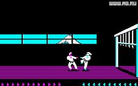 Karateka (1985) screenshot, image №296458 - RAWG