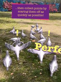 Pigeon Panic! AR screenshot, image №940041 - RAWG
