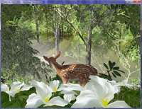 The Virtual Trillium Trail v. 2.0.4 screenshot, image №2297875 - RAWG