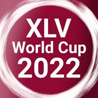 XLV World Cup 2022 screenshot, image №3674280 - RAWG