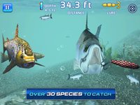 Fishing Kings Free+ screenshot, image №880098 - RAWG