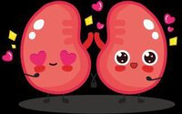 Happy Kidney screenshot, image №3116926 - RAWG