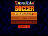 Sensible Soccer screenshot, image №739537 - RAWG