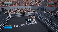 Tactic Boxing screenshot, image №4020654 - RAWG