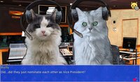 Cat President 2: Purrlitical Revolution (itch) screenshot, image №2568791 - RAWG