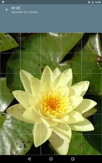 Jigsaw Puzzle: Flowers screenshot, image №1497484 - RAWG