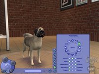 The Sims 2: Pets screenshot, image №457892 - RAWG