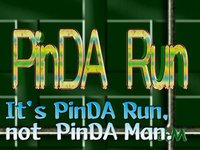 PinDA Run screenshot, image №1996098 - RAWG