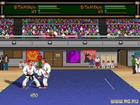 Budokan: The Martial Spirit screenshot, image №314530 - RAWG