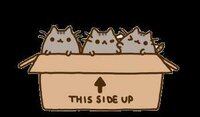 Kitten Kaboodle (Prototype) screenshot, image №2487356 - RAWG