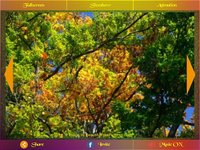 Picture Show Pro screenshot, image №1699788 - RAWG