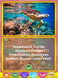 Find The Difference Asia screenshot, image №1327277 - RAWG