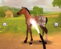 Petz Horse Club screenshot, image №505977 - RAWG