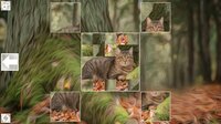 Puzzle Art: Cats screenshot, image №3051759 - RAWG