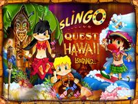 Slingo Quest Hawaii screenshot, image №507529 - RAWG