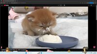 Digital Desktop Cats screenshot, image №4204730 - RAWG