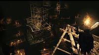 Dark Souls II: Scholar of the First Sin screenshot, image №50087 - RAWG