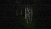 Slender Man (THE GAME CHANGER) screenshot, image №2748384 - RAWG