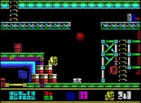 Twenty Four Hour Parsley People (ZX Spectrum) screenshot, image №2604421 - RAWG