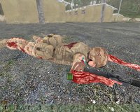 Arma: Queen's Gambit screenshot, image №478994 - RAWG