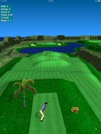 Par 3 Golf screenshot, image №949180 - RAWG