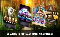 Slots Tiger King Casino Slots screenshot, image №1408140 - RAWG