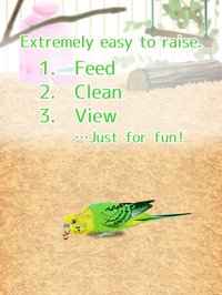 Virtual Therapeutic Parakeet Pet screenshot, image №1662208 - RAWG