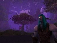 World of Warcraft screenshot, image №351870 - RAWG