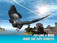 City Pigeon Simulator 3D screenshot, image №909767 - RAWG
