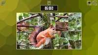 Easy puzzle: Animals screenshot, image №1873830 - RAWG