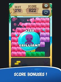 Block Puzzle Blast* screenshot, image №1733281 - RAWG